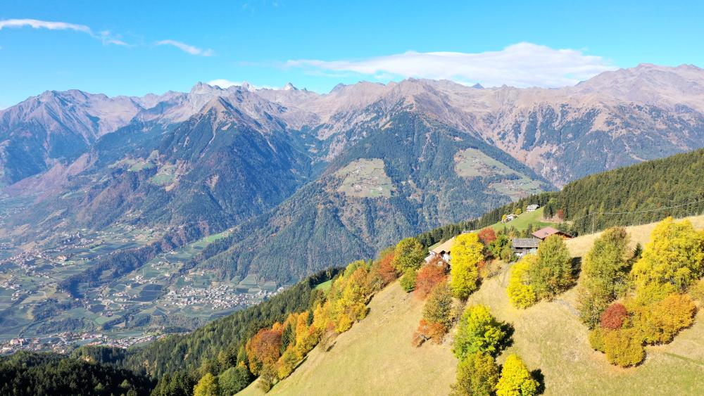 lernen